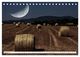 Thumbnail-10