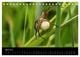 Thumbnail-9