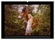 Thumbnail-13