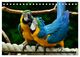 Thumbnail-13