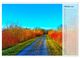 Thumbnail-12