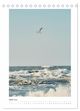 Thumbnail-11