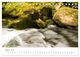 Thumbnail-13