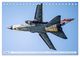 Thumbnail-12