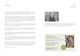 Thumbnail-11