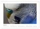Thumbnail-11