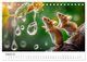 Thumbnail-10