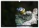 Thumbnail-12