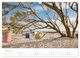 Thumbnail-8