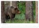 Thumbnail-13