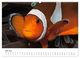 Thumbnail-11