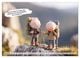 Thumbnail-10
