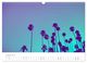 Thumbnail-13