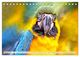 Thumbnail-7
