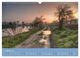 Thumbnail-13