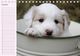 Thumbnail-10