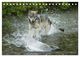 Thumbnail-10