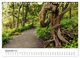 Thumbnail-11
