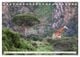 Thumbnail-13