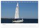 Thumbnail-12