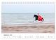 Thumbnail-14