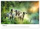 Thumbnail-10