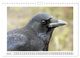 Thumbnail-9