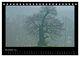 Thumbnail-13