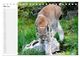 Thumbnail-10