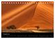 Thumbnail-10