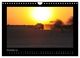 Thumbnail-13