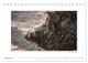 Thumbnail-14