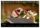 Thumbnail-12