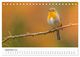 Thumbnail-14