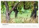 Thumbnail-14