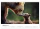 Thumbnail-14