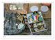 Thumbnail-12