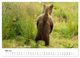 Thumbnail-10