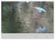 Thumbnail-11