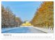 Thumbnail-14