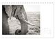 Thumbnail-11