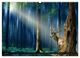 Thumbnail-8