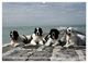 Thumbnail-12