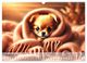 Thumbnail-13