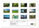 Thumbnail-11