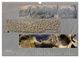Thumbnail-9