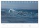 Thumbnail-9