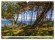Thumbnail-2