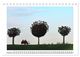 Thumbnail-11