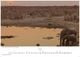 Thumbnail-12
